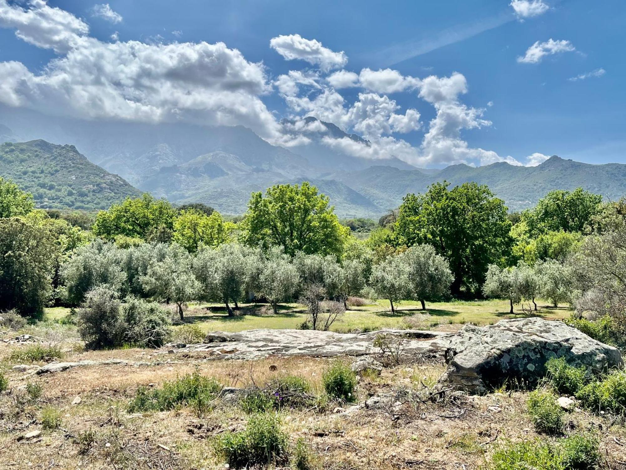 Domaine Du Reginu Hotell Santa-Reparata-di-Balagna Eksteriør bilde